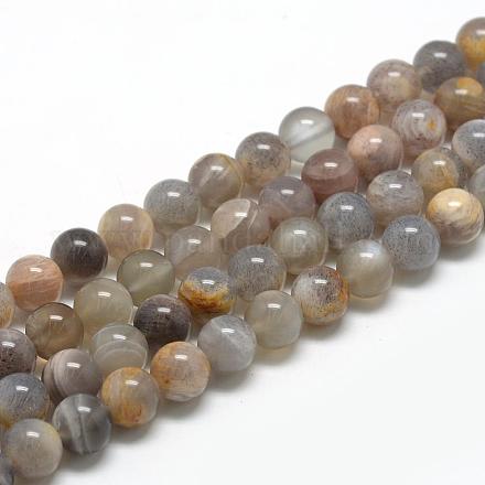 Brins de perles de sunstone noirs naturels G-R446-10mm-33-1