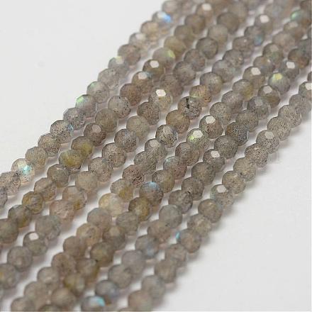 Chapelets de perles en labradorite naturelle G-P243-08-1