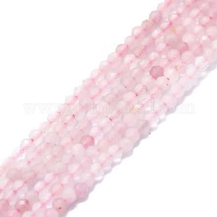 Chapelets de perles en tourmaline naturelle G-P457-A01-14H-1