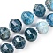 Natural Apatite Beads Strands, Faceted, Lantern, with Seed Beads, 10~12x10~10.5mm, Hole: 1mm, about 30~35pcs/strand, 15.79~15.83''(40.1~40.2cm)