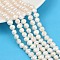 Natural Cultured Freshwater Pearl Beads Strands, Two Sides Polished, Grade 4A, Linen, 7~8mm, Hole: 0.7mm, about 47~49pcs/strand, 13.19''~13.58''(33.5~34.5cm)