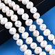 Natural Cultured Freshwater Pearl Beads Strands PEAR-N013-08F-2