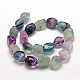 Natural Fluorite Beads Strands G-P301-20-2