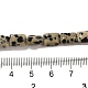 Chapelets de perles en jaspe dalmatien naturelle G-G085-A13-01-4