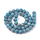 Natürliche Sesam Jaspis / Kiwi Jaspis Perlen Stränge G-T106-343D-3