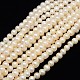 Natural Cultured Freshwater Pearl Beads Strands X-PEAR-L001-F-07-1
