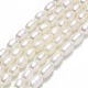 Natural Cultured Freshwater Pearl Beads Strands PEAR-J006-09B-1