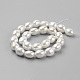 Chapelets de perles de coquille BSHE-K010-03A-2