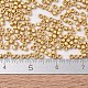 Perles miyuki delica petites X-SEED-J020-DBS0331-3