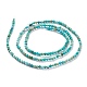 Chapelets de perles en turquoise de HuBei naturelle G-A026-A10-2mm-2
