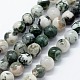 Chapelets de perles en agate d'arbre naturelle X-G-I199-03-4mm-1