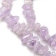 Natural Amethyst Beads Strands G-P035-12-2