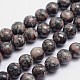 Round Natural Fossil Bead Strands G-L419-49A-1