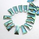 Faceted Electroplate Crystal Glass Trapezoid Beads Strands EGLA-F073B-04-2