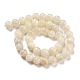 Natürlichen weißen Mondstein Perlen Stränge G-F306-05AB-10mm-01-2