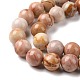 Natural Agate Beads Strands G-C238-03B-4