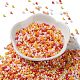 Baking Paint Glass Seed Beads X-SEED-S042-05A-07-2