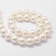 Shell fili di perle perline X-BSHE-L026-03-12mm-2
