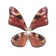 半透明樹脂ペンダントセット  銀箔で  蝶の羽のチャーム  暗赤色  23~39x19.5~24x2.5mm  穴：1mm  4個/セット RESI-G063-01E-2