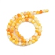 Fili di perline di conchiglia giallo dorato naturale SSHEL-G024-01A-2