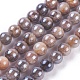 Chapelets de perles de sunstone naturelle naturelles G-I247-14B-1