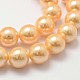 Cuentas perlas de concha de perla BSHE-L026-8mm-M-4