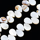 Eau douce naturelle de coquillage perles brins SHEL-Q024-008-1