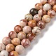 Natural Agate Beads Strands G-C238-03C-1