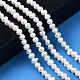 Natural Cultured Freshwater Pearl Beads Strands PEAR-N013-04A-4