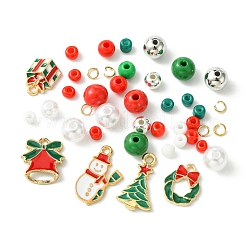 Kits de pulseras con cuentas de semillas de acrílico&nbsp;DIY-FS0006-55