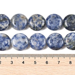 Natürliche blaue Fleck Jaspis Perlen Stränge&nbsp;G-L648-B08-15mm