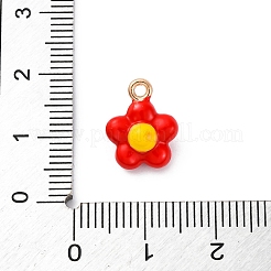 Legierung Emaille Anhänger / charms&nbsp;ENAM-E362-10D