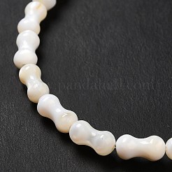 Naturali di acqua dolce perline shell fili&nbsp;SHEL-G014-03