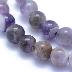 Natürlichen Amethyst Perlen Stränge&nbsp;G-L552H-03A