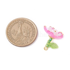 Pendentifs en acrylique transparent &nbsp;PALLOY-MZ00822-01