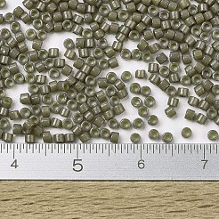 Miyuki Delica Perlen&nbsp;SEED-X0054-DB2365