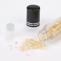 Bottiglie a sfera di vetro&nbsp;LS-AJEW-P073-A03