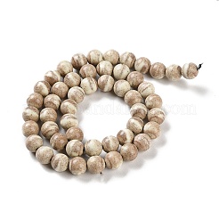Fili di perline di agata alashan arcobaleno naturale&nbsp;G-NH0022-A10-02