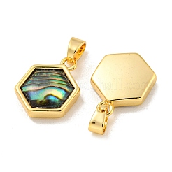 Natur Paua Muschel Anhänger&nbsp;KK-A214-27G