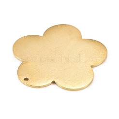 Colgantes de acero inoxidable 304&nbsp;STAS-L238-097A-G