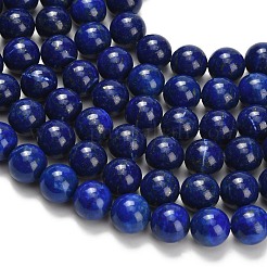 Filo di Perle lapis lazuli naturali &nbsp;G-L642-B05-10mm