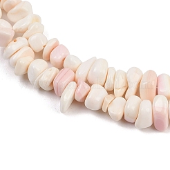 Natürliche rosa Muschelperlenstränge&nbsp;SSHEL-L016-19