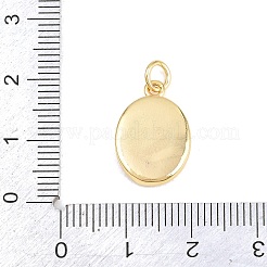 Colgantes de latón&nbsp;KK-H273-47G-01