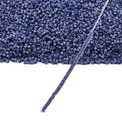 Miyuki Delica Perlen&nbsp;SEED-MY11-DB2319