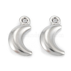 Pendentifs en acier inoxydable chirurgical 316 anti-ternissement&nbsp;STAS-C026-21P