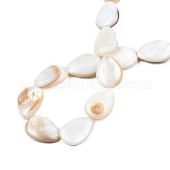 Shell normal de perles blanches de brins&nbsp;PBB263Y-1