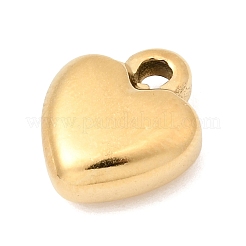 Anhänger aus Edelstahl 304&nbsp;STAS-P450-05B-G