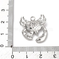 Anhänger aus Edelstahl 304&nbsp;STAS-I348-01P-04
