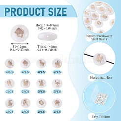 24 pz 12 stili perline di conchiglia d'acqua dolce naturale&nbsp;SHEL-TA0001-42