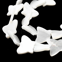 Fili di perle di conchiglia trochid naturale / trochus&nbsp;SSHEL-R145-02